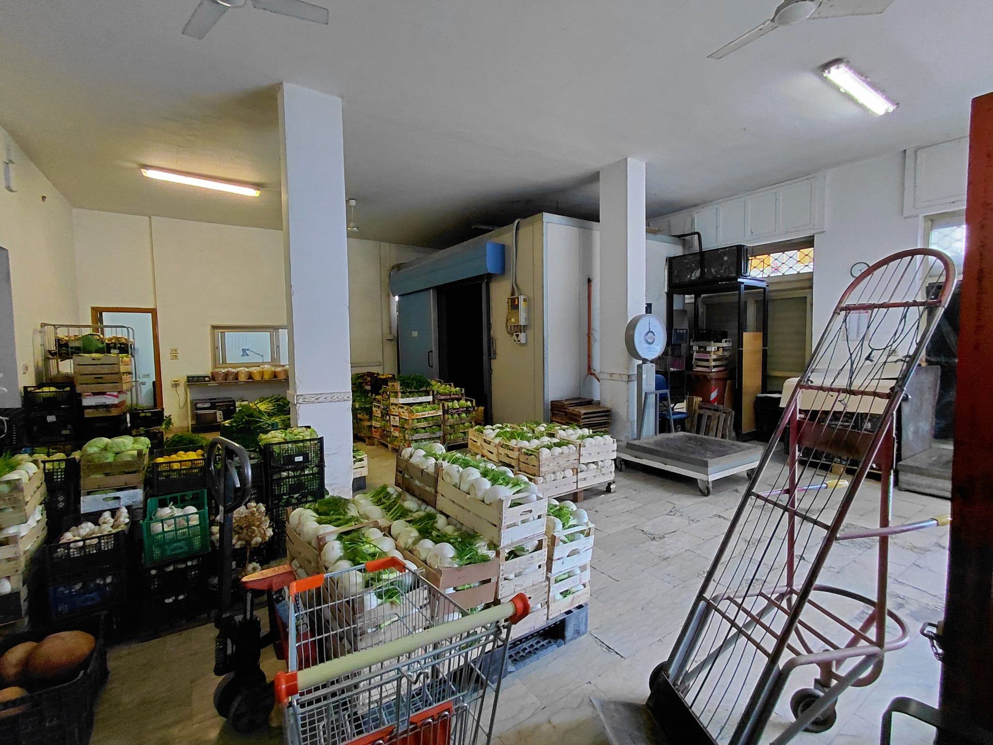 WhatsApp Image 2026-03-10 at 10.28.03(1)